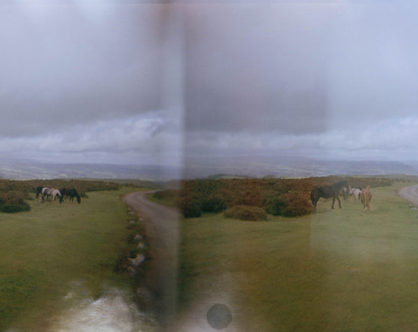 Bluffs- Hay on Wye 24 x 72 inches