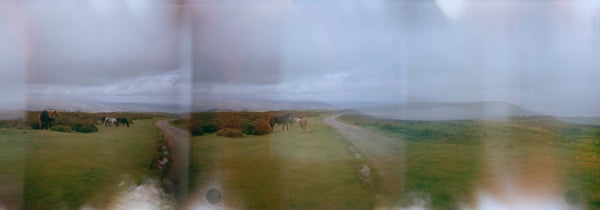 Bluffs- Hay on Wye 24 x 72 inches
