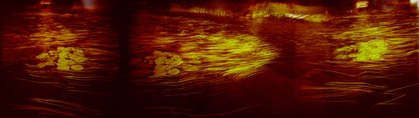 Pond Lilies 12x 42inches